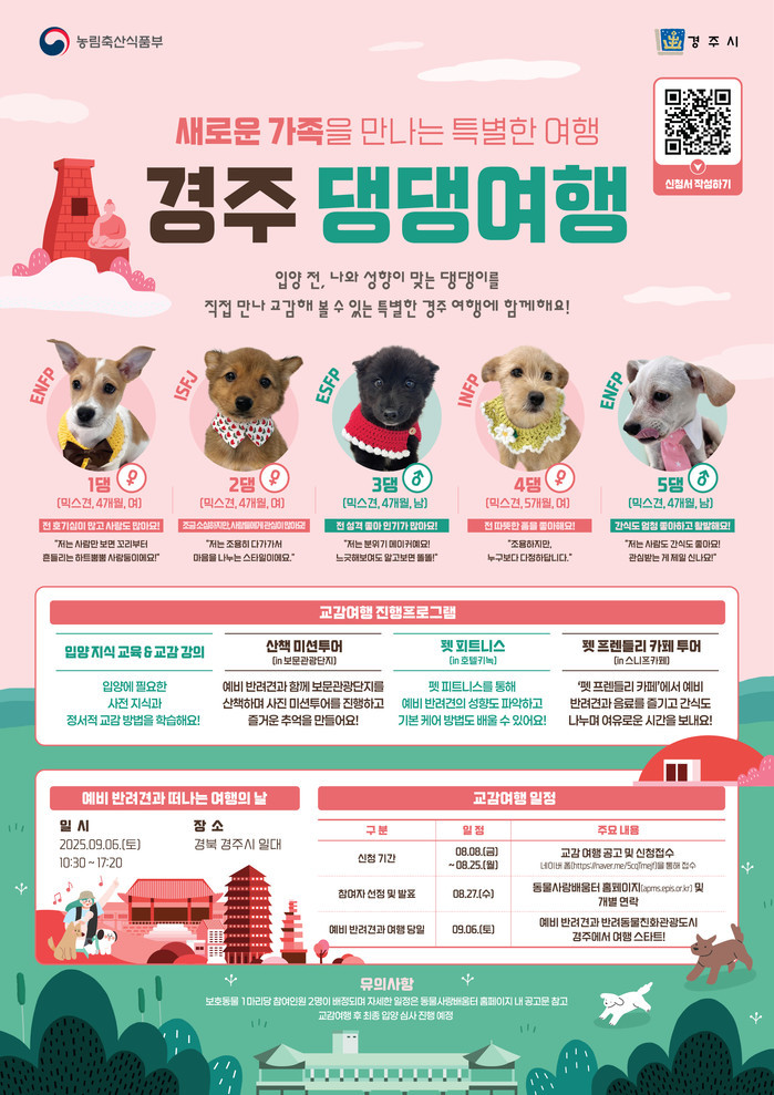 경주에서 유기동물과의 특별한 만남, ...