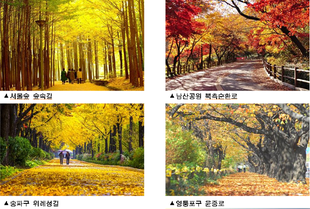 서울의 가을, 단풍길 110선으로 물들다